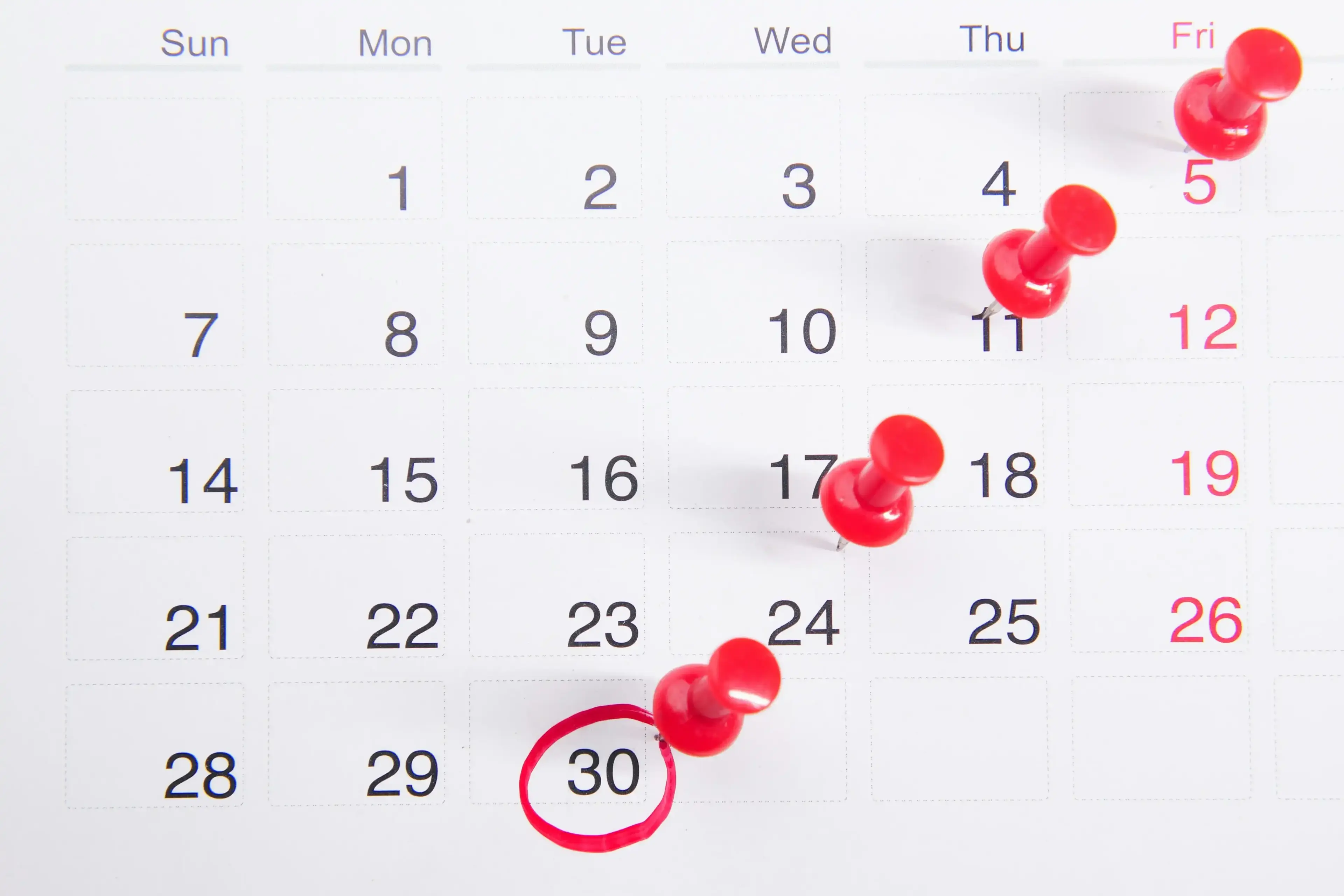 Visa Appointment Preparation: What Should You Take?